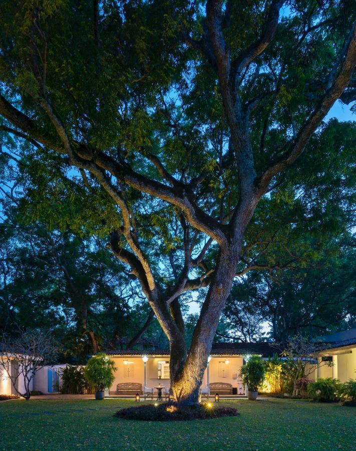 Taru Villas Mawella - טנגלה מראה חיצוני תמונה